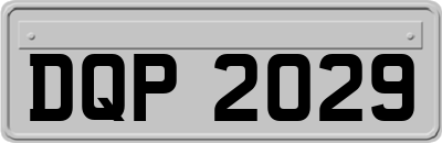 DQP2029