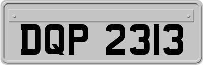 DQP2313