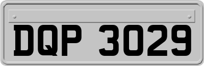 DQP3029