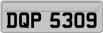 DQP5309