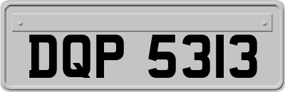 DQP5313
