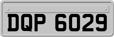 DQP6029
