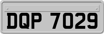 DQP7029