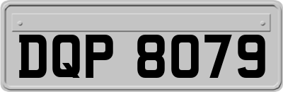 DQP8079