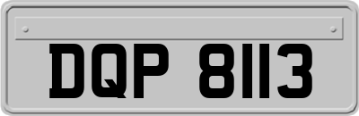 DQP8113