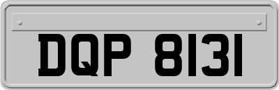 DQP8131