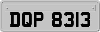 DQP8313