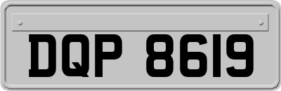 DQP8619