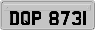 DQP8731