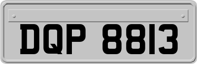 DQP8813