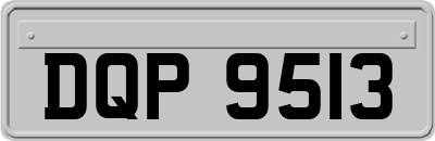 DQP9513