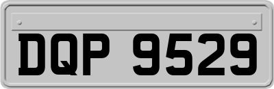 DQP9529