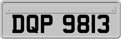 DQP9813