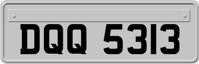 DQQ5313