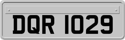 DQR1029