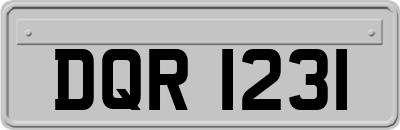 DQR1231