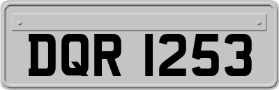 DQR1253