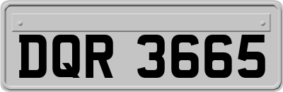 DQR3665