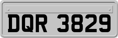 DQR3829