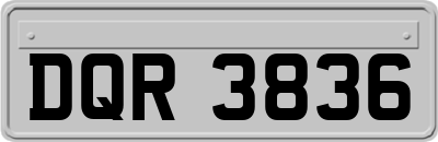 DQR3836