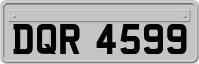 DQR4599