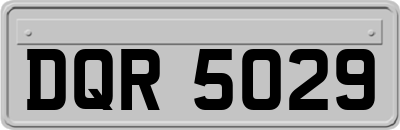 DQR5029