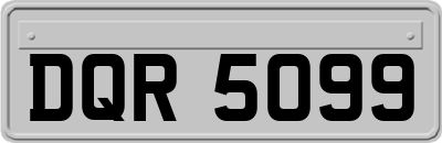 DQR5099