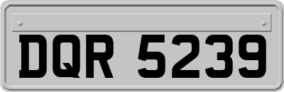 DQR5239