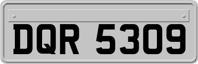 DQR5309