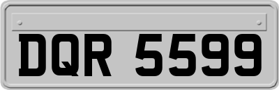 DQR5599