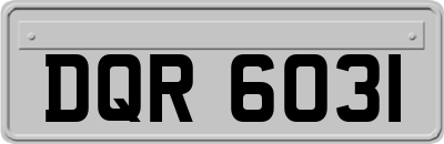 DQR6031