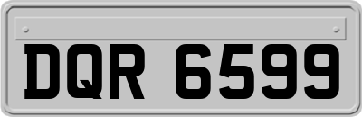 DQR6599