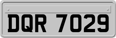 DQR7029