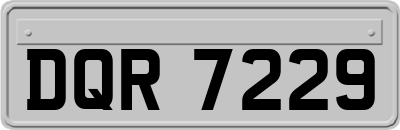 DQR7229
