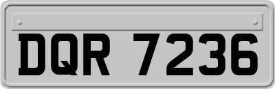 DQR7236