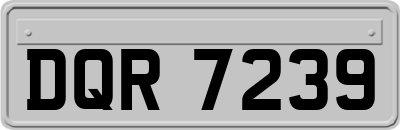 DQR7239