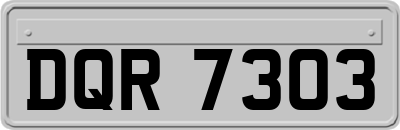 DQR7303