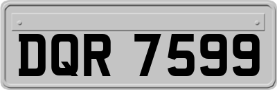 DQR7599