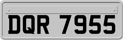 DQR7955