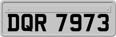 DQR7973