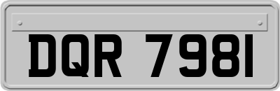 DQR7981