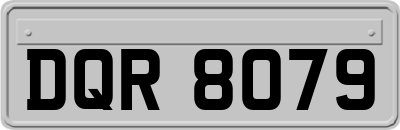 DQR8079