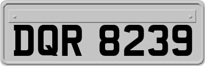 DQR8239