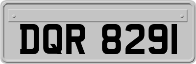 DQR8291