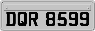 DQR8599