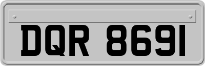 DQR8691