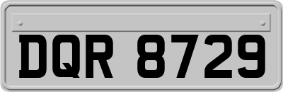 DQR8729