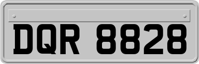 DQR8828