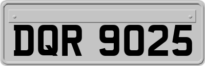 DQR9025