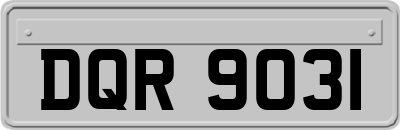 DQR9031